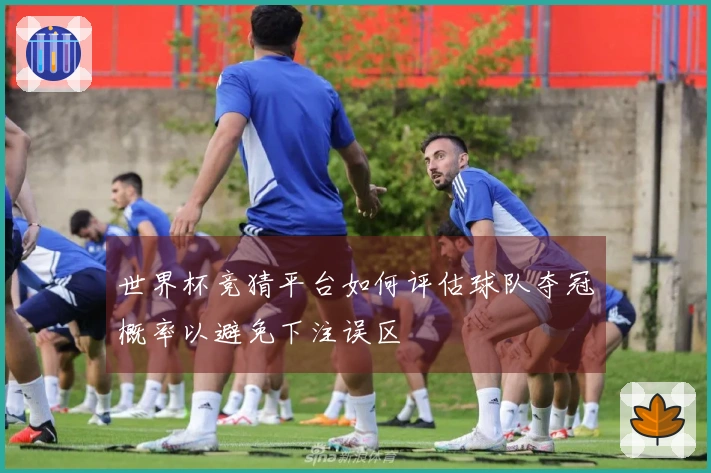 世界杯竞猜平台如何评估球队夺冠概率以避免下注误区
