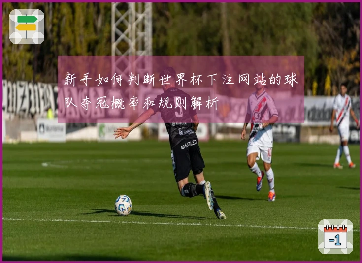 新手如何判断世界杯下注网站的球队夺冠概率和规则解析