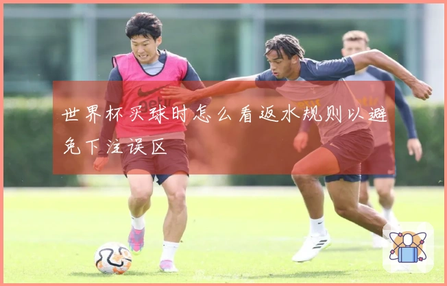 世界杯买球时怎么看返水规则以避免下注误区