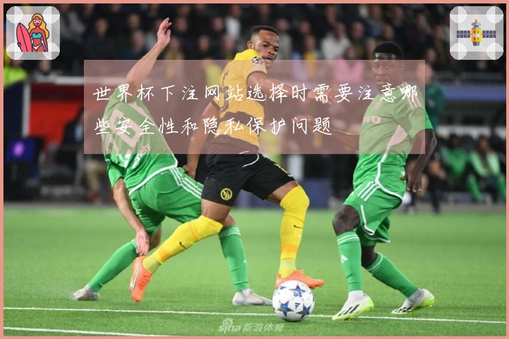 世界杯下注网站选择时需要注意哪些安全性和隐私保护问题