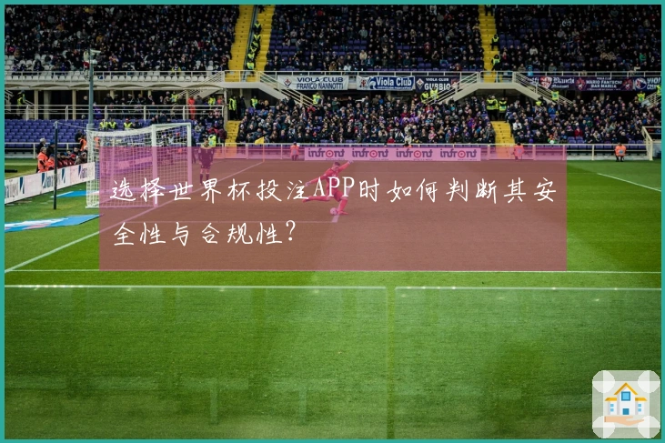 选择世界杯投注APP时如何判断其安全性与合规性？