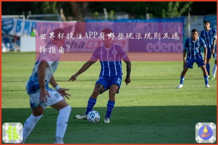 世界杯投注APP有哪些玩法规则及选择指南？