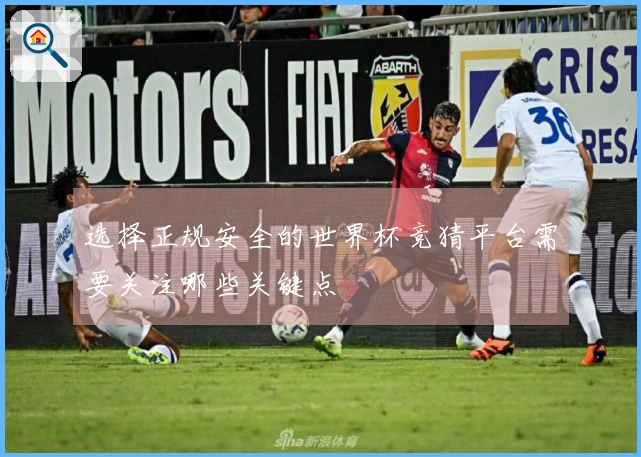 选择正规安全的世界杯竞猜平台需要关注哪些关键点