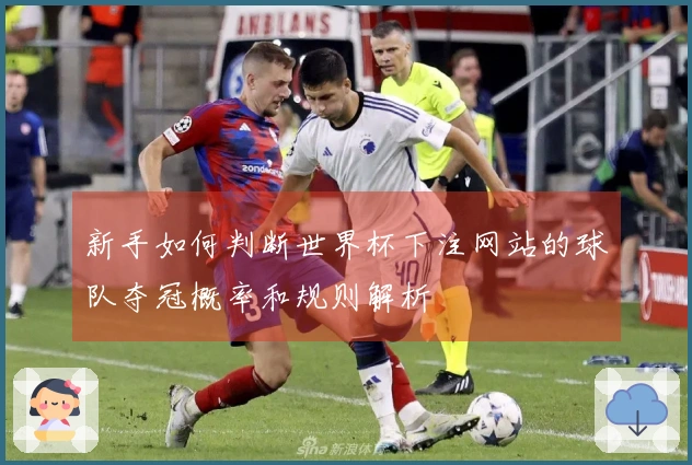 新手如何判断世界杯下注网站的球队夺冠概率和规则解析