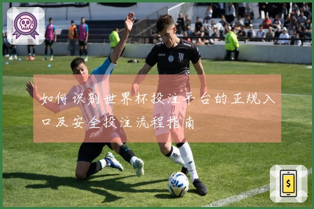 如何识别世界杯投注平台的正规入口及安全投注流程指南
